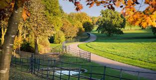 Image result for Barnt green