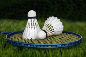 Image result for Cranford Sports Jnr (Devon) Badminton Club