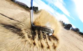 Image result for ProTouch Golf