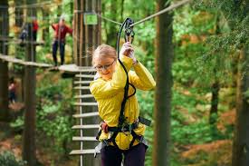 Image result for Go Ape! Grizedale