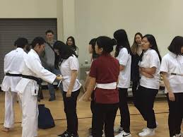 Image result for Carn Brea Karate Kai