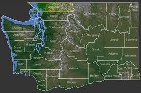 Attēlu rezultāti vaicājumam “Heyderia abietis”