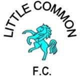 Image result for Little Common Community Sports Club