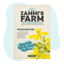 Attēlu rezultāti vaicājumam “Sinapis alba”