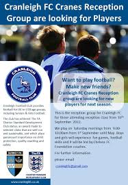 Image result for Cranleigh Football Club