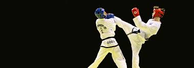 Image result for London Colney Tae Kwon Do  (I.T.F. / LTSI / A.F.T.)