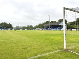 Image result for Haywards Heath Town Ladies Football Club