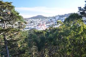 Image result for Strawberry Hill Bowling Club