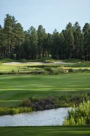 Image result for The Craythorne Golf Club