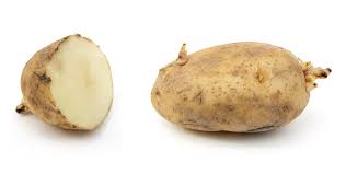 Attēlu rezultāti vaicājumam “Solanum tuberosum”