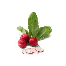 Image result for Radieschen