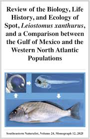 Image result for Leiostomus xanthurus