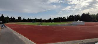 Image result for Dudley and Stourbridge Harriers Athletics Club