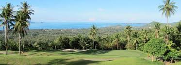 Image result for Aquarius Golf Club