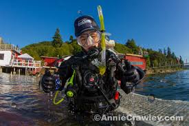 Image result for Seabug Divers