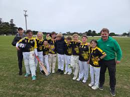 Image result for Torquay Cricket Club