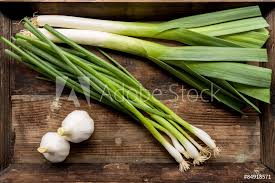 Image result for Porree