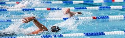 Image result for Swimming