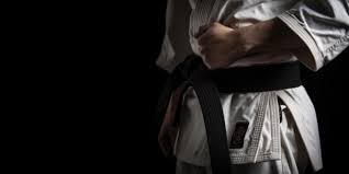Image result for Bushin Kenpo Kai Schools