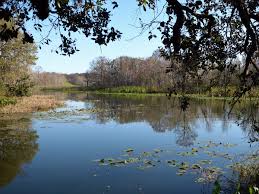 Image result for Haynes Park Bowling Club