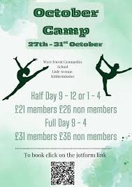 Image result for Wyre Forest Gymnastic School