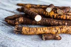 Image result for Schwarzwurzeln