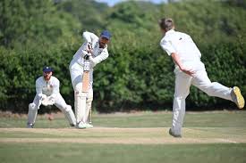 Image result for Fareham and Crofton Cricket Club