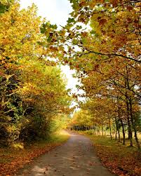 Image result for Camberley