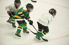 Image result for Adur Skater Hockey Club