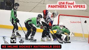 Image result for Vipers Roller Hockey Team