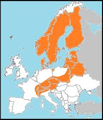 Attēlu rezultāti vaicājumam “Colias palaeno upperside”