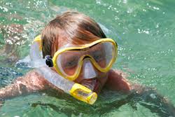 Image result for East Snorkellers