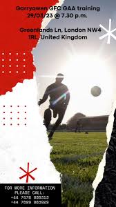 Image result for Garryowen Gfc