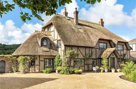 Image result for Braishfield Ultimate