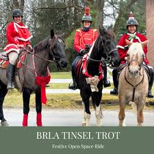 Image result for Elstead Riding Club