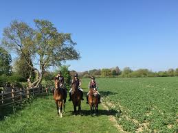 Image result for Old Park Riding Stables
