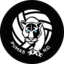 Image result for Pumas Netball Club