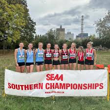 Image result for Thames Valley Harriers