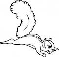 Squirrel coloring page