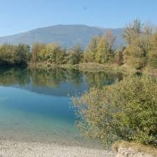 Attēlu rezultāti vaicājumam “Chara intermedia male”