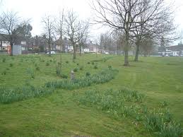 Image result for Irlam Cc