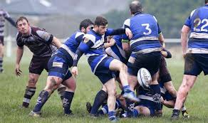 Image result for Furness Rugby Union Football Club Ltd