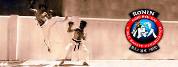 Image result for Ronin Yudansha Ryu