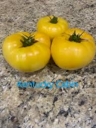 Afbeeldingsresultaat voor cabin tomato