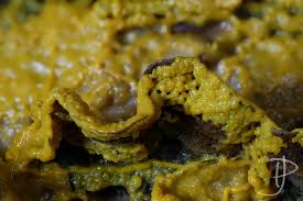 Attēlu rezultāti vaicājumam “Enerthenema papillatum young”