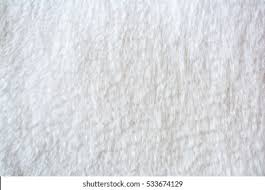 Image result for white rabbit skin texture