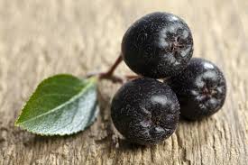 Attēlu rezultāti vaicājumam “Aronia melanocarpa fruit”