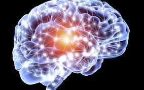 Image result for seotonie