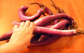 Afbeeldingsresultaat voor fengyuan purple eggplant