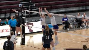 Image result for Tendring Volleyball Club